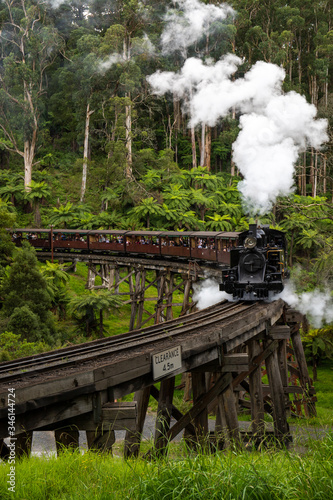 Принти на полотні Puffing Billy in the hills of the Dandenong Ranges is an icon to Australia's history