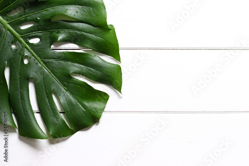 Leaf from a Swiss Cheese Plant (Monstera Deliciosa) on a rough white wooden table. Background image with copy space.