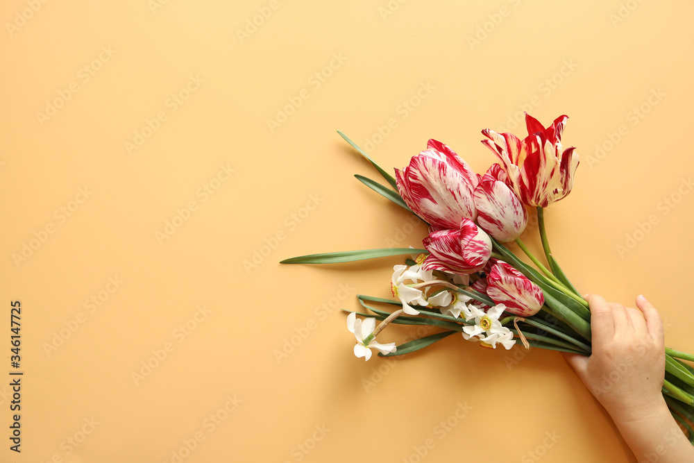 red tulips and white daffodils on a white background