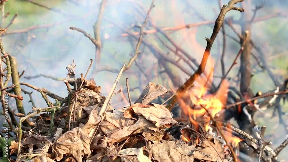 Fire and smoke, burning branches. Fire and smoke, burning branches.