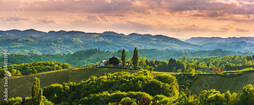 Obraz na plátně Panoramic view at famous wine street in south styria, Austrian destination, tuscany like vineyard hills