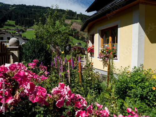 Flowering village in Alsace. Sunlit streets full of flowers.