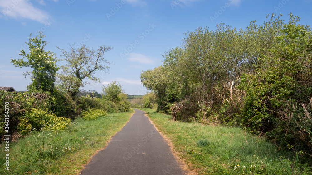 Typical English country path, footpath in spring. No people.