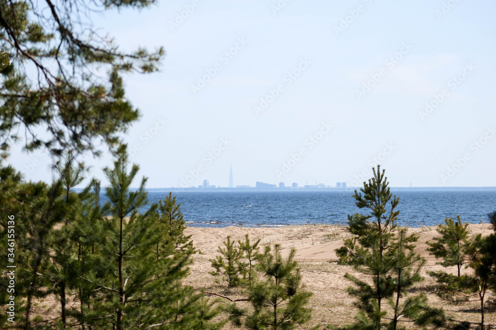 Silhouette of Saint Petersburg russia view from the pine forest on a beach