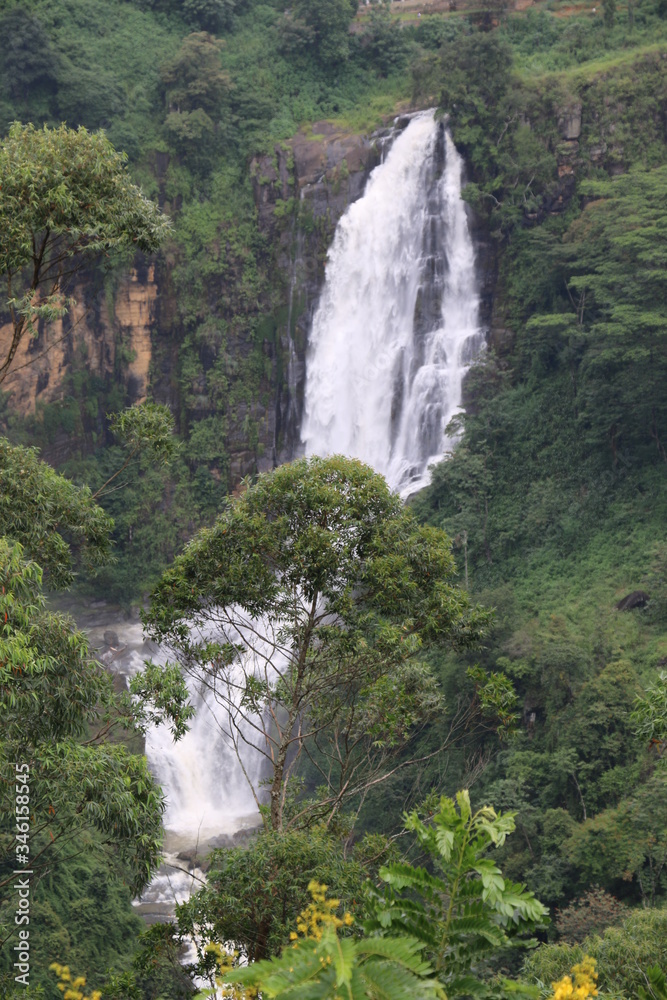 Obraz premium waterfall in the mountains