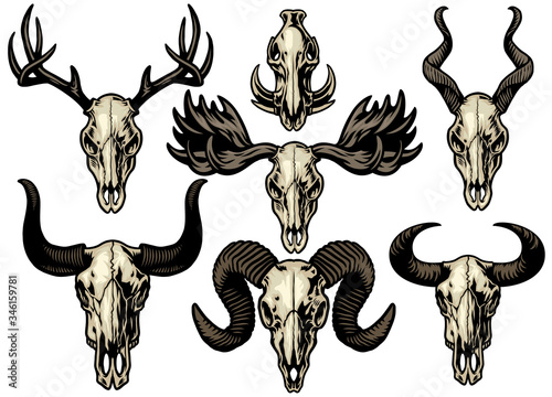 set bundle of animal collection