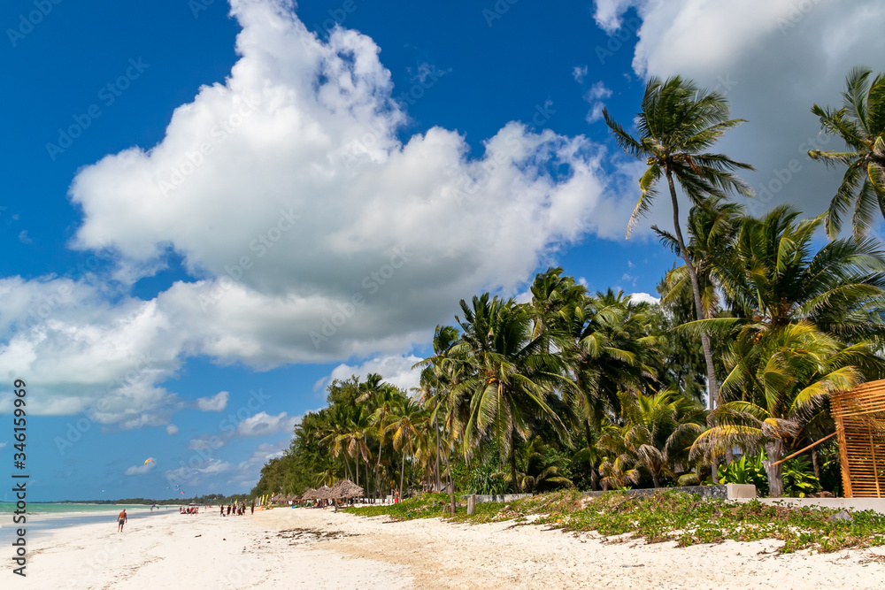 タンザニア・ザンジバル島のパジェビーチに広がる、青空と白い砂浜・ヤシの木