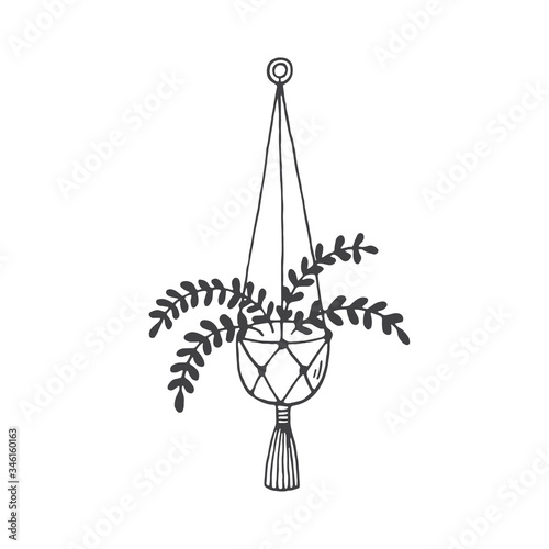 Macrame plant hanger with house plant- handdrawn vector doodle illustration  isolated on white background. Modern home, hygge, scandinavian interior. Handdrawn icon.