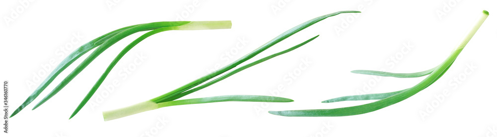 Green Onion Collection. Set of Whole Chives Isolated on White, Full Depth of Field Green Onion Collection. Set of Whole Chives Isolated on White, Full Depth of Field