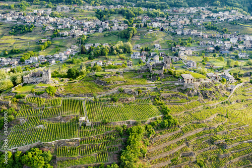 Sondrio - Valtellina (IT) - Castel Grumello and vineyards, view to the west photo