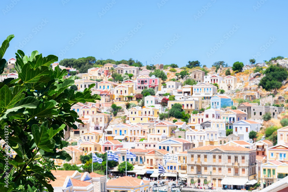 Picturesque view on tiny colorful houses on rocks through fig tree on Greek island Symi in sunny summer day, tourism on exotic islands
