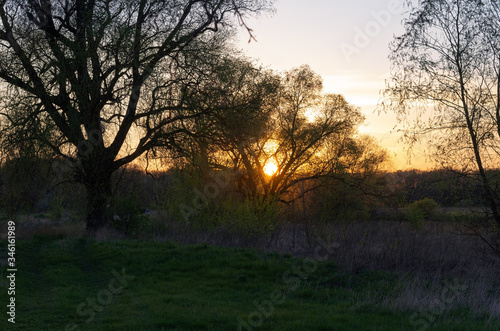 The sun sets behind the forest in spring