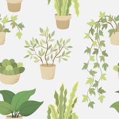 Keuken achterwand Planten in pot patronen Vector kamerplanten witte achtergrond patroon  © Andrew