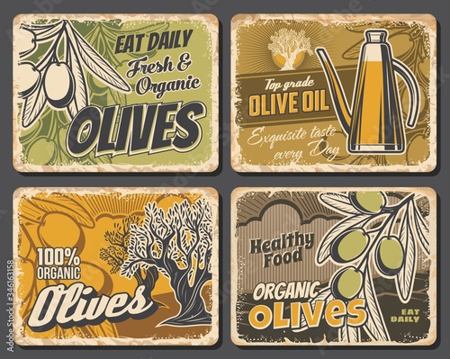 Extra virgin olive oil and green olives, vector vintage retro scratched metal plates. Natural organic extra virgin oil in pitcher jar and olive tree. Agriculture and cuisine cooking