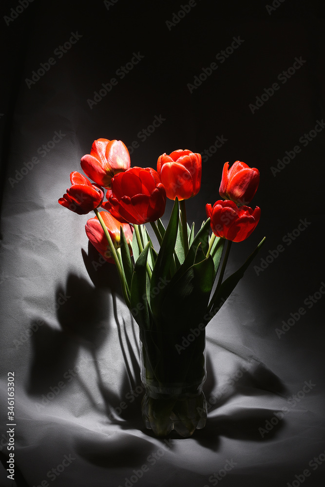 red tulips in a vase red tulips in a vase