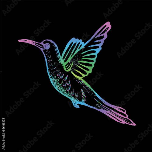 Color gradient illustration of a flying hummingbird. A little sophisticated bird.