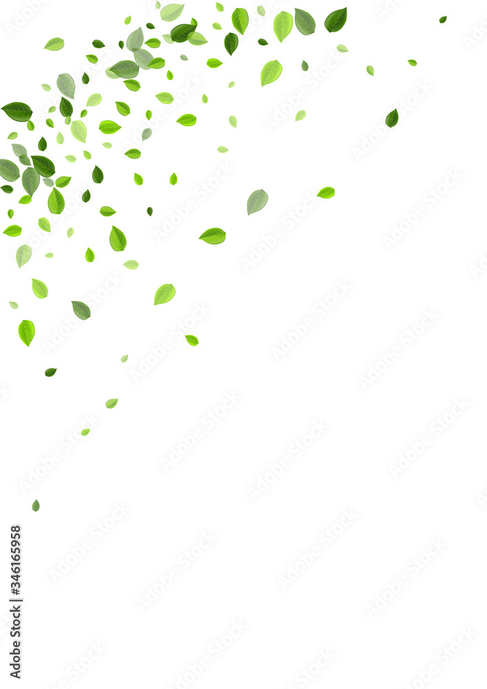 Grassy Greens Tea Vector Branch. Blur Leaves Grassy Greens Tea Vector Branch. Blur Leaves