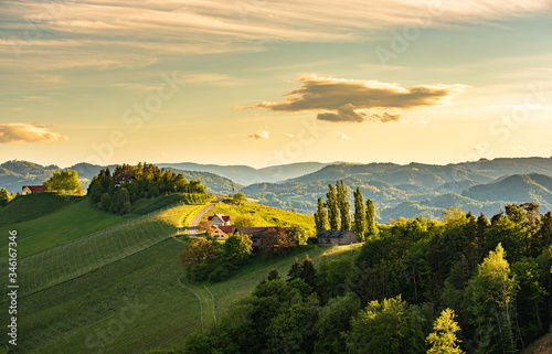 South styria vineyards landscape, near Gamlitz, Austria, Europe. Grape hills view from wine road in spring. Tourist destination, travel spot.