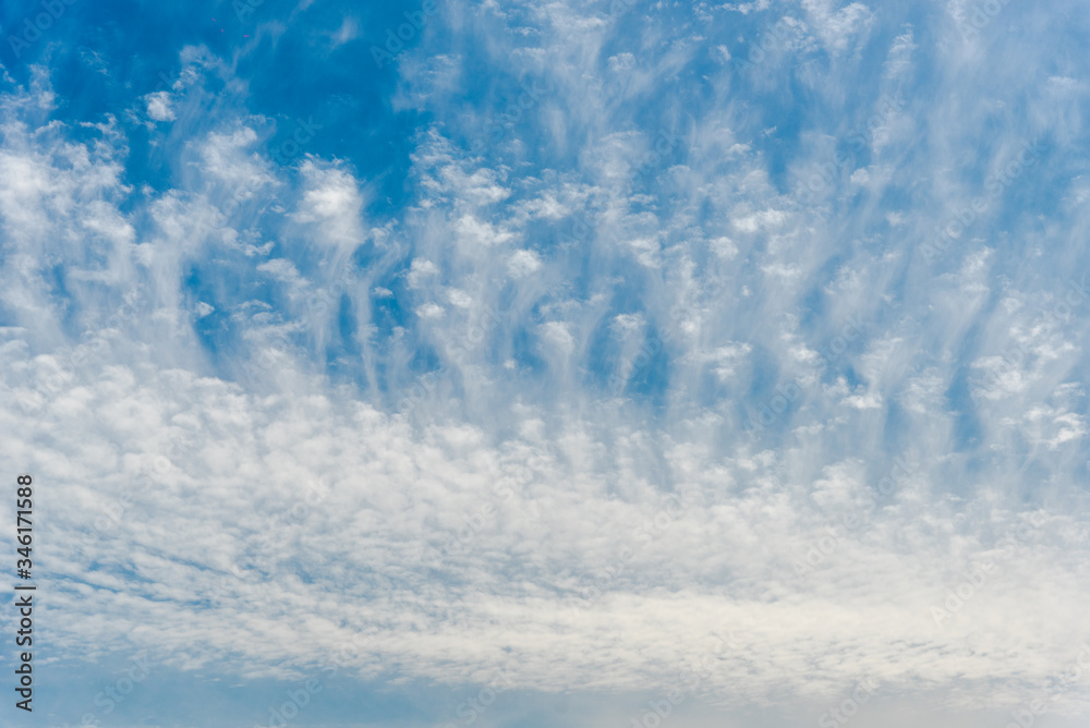 Fototapeta premium Feather clouds