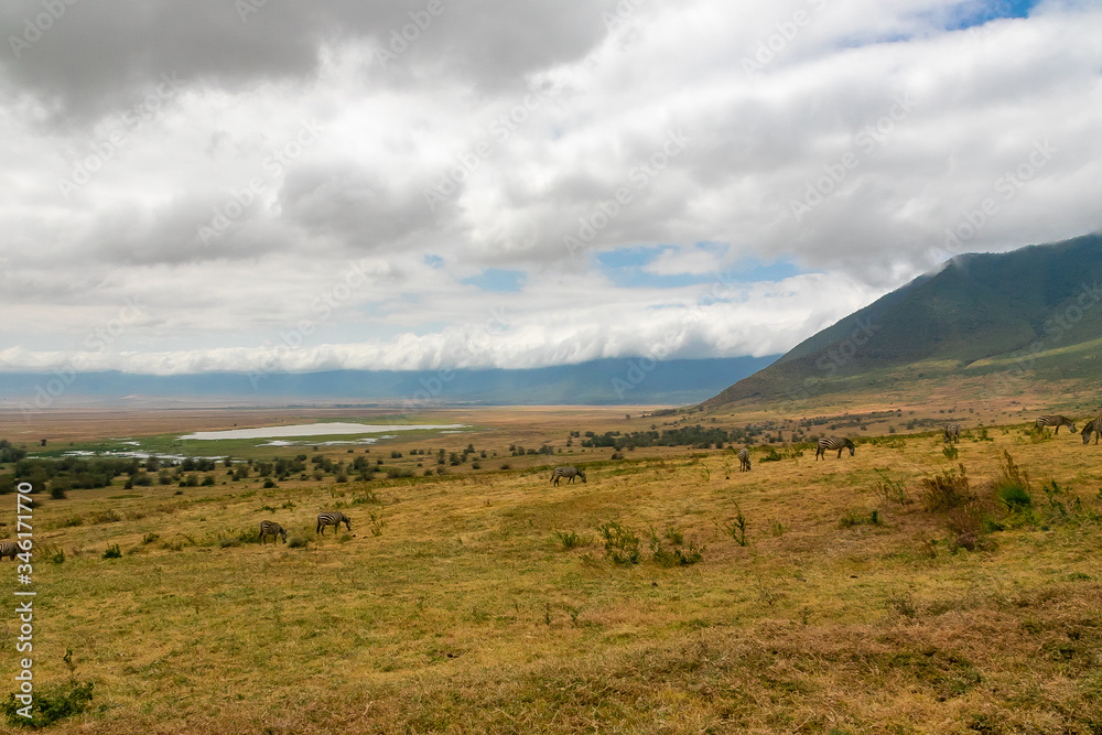タンザニア・ンゴロンゴロの山とクレーター内にいるシマウマの群れ