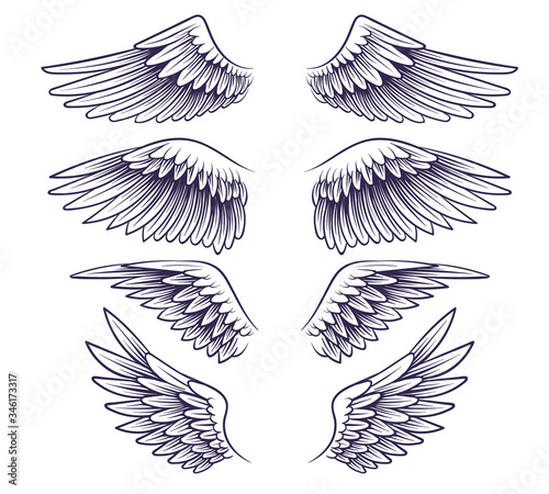 Hand drawn wing. Sketch angel wings with feathers, elements for logo, label or tattoo. Stencil silhouettes vintage isolated vector set