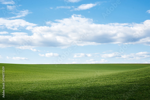 Beautiful field landscape. Countryside village rural natural background at sunny weather in spring summer. Green grass and blue sky with clouds. Nature protection concept.