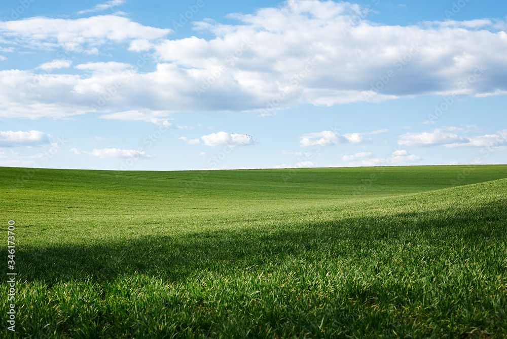 Beautiful field landscape. Countryside village rural natural background at sunny weather in spring summer. Green grass and blue sky with clouds. Nature protection concept.