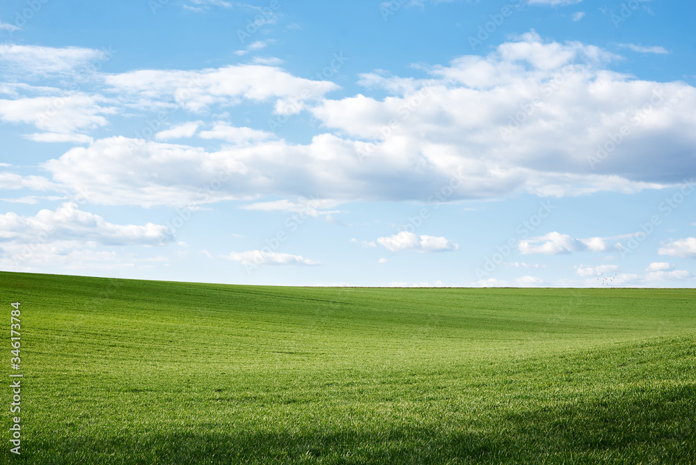 Beautiful field landscape. Countryside village rural natural background at sunny weather in spring summer. Green grass and blue sky with clouds. Nature protection concept. Beautiful field landscape. Countryside village rural natural background at sunny weather in spring summer. Green grass and blue sky with clouds. Nature protection concept.