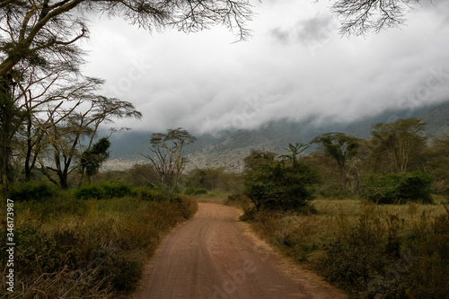 タンザニア・ンゴロンゴロの風景と曇り空