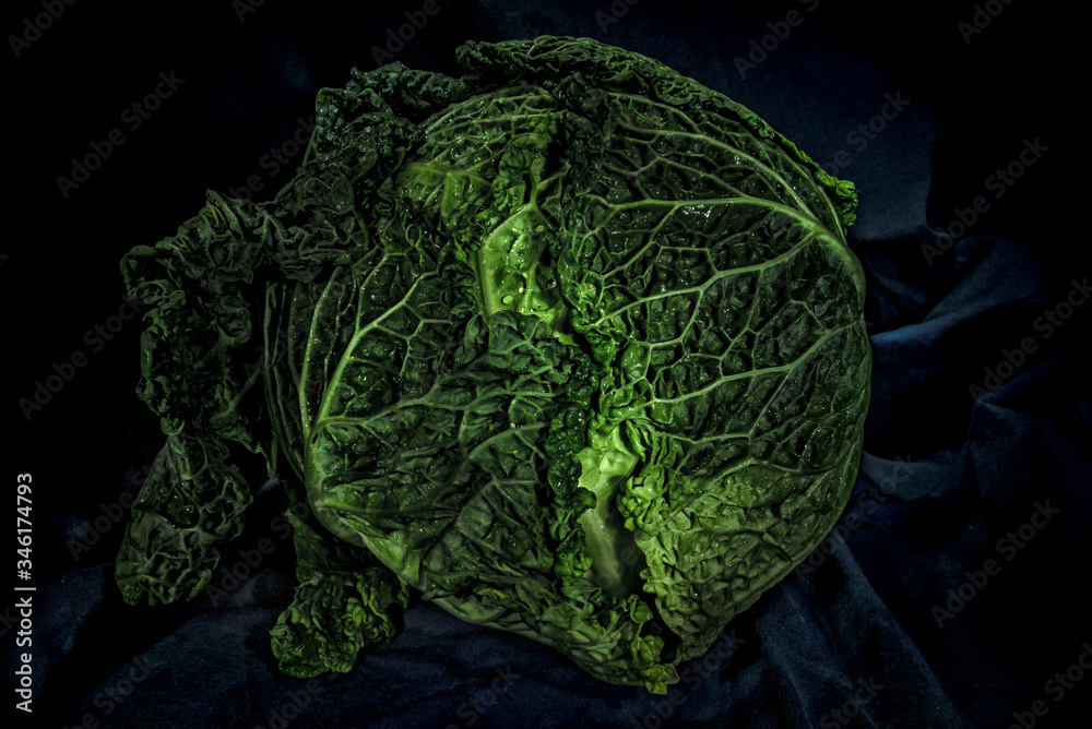 Obraz premium head of cabbage