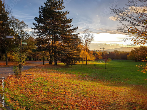 Colorful golden autumn in a public park in Oberlaa, Vienna.  The vibrant orange-yellow landscape  includes trees and their leaves with a crane and mountains in the background.