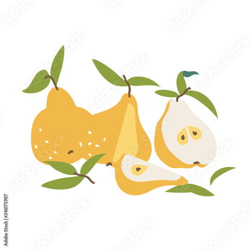 Vector illustration yellow pears. Colorful summer fruits collection.