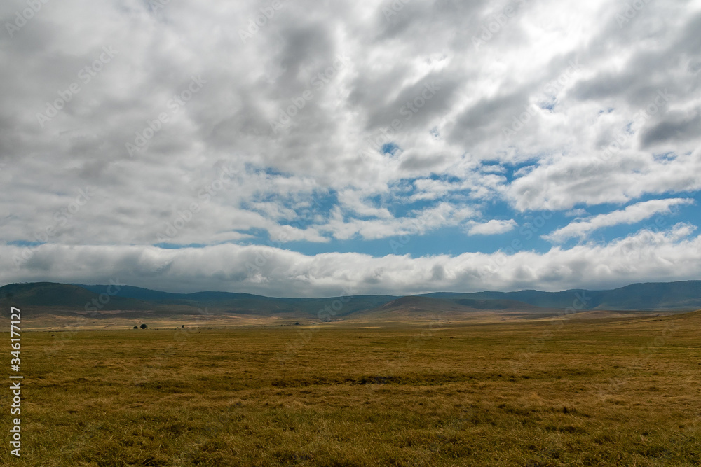 タンザニア・ンゴロンゴロの草原と青空・雲