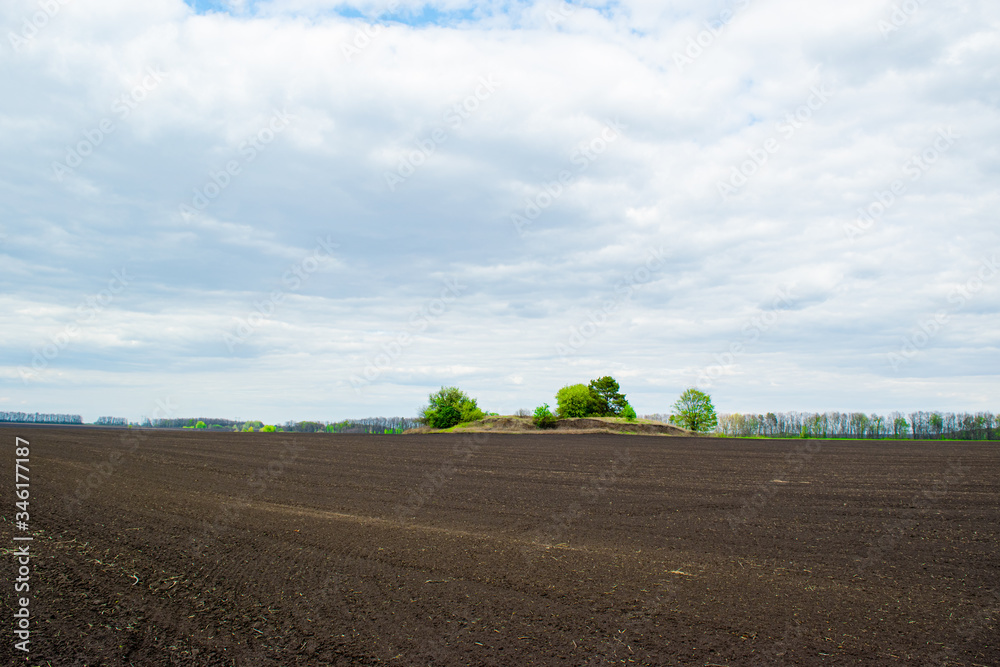 Plowed sown agricultural field with black fertile soil. Spring landscape with agricultural plantation land. Plowed sown agricultural field with black fertile soil. Spring landscape with agricultural plantation land.