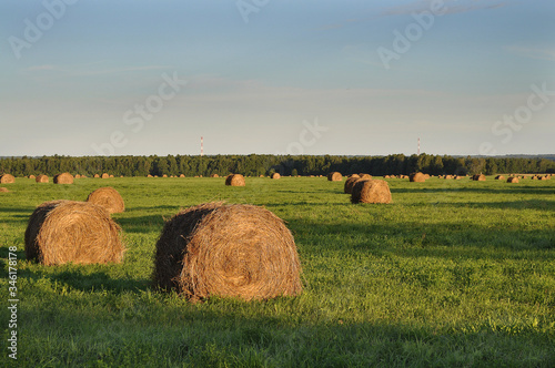 Summer landscape with a bale of straw in the foreground in the evening sun