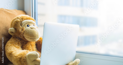 Canvas Print Plush monkey with a laptop on the windowsill close-up