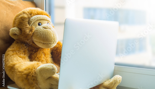 Plush monkey with a laptop on the windowsill close-up. The concept of online communication