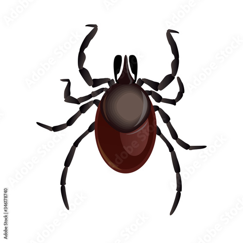 Mite parasites. Tick parasite. Acarus. Acarid vector illustration isolated on white background. Mite spider. Mite allergy. Mite epidemic.