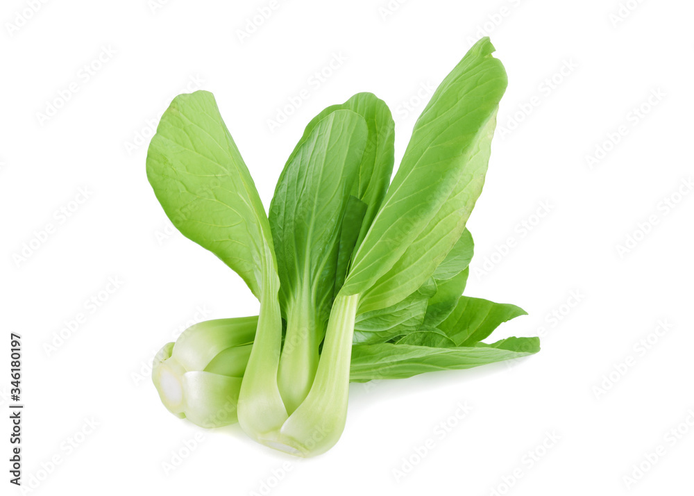 Bok choy vegetable isolated on the white background. Bok choy vegetable isolated on the white background.