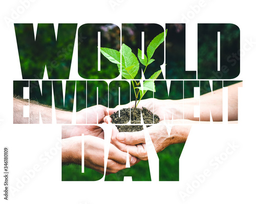 World Environment Day text, old and young hands, green sprout, white background. Ecology, hunger, poorness, need. Team work, sea, plastic pollution, charity, compassion, overpopulation, virus.