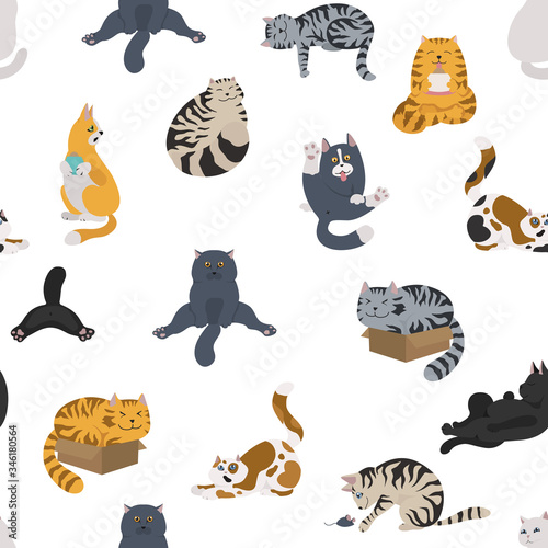 Cartoon cat characters seamless pattern. Different cat`s poses, yoga and emotions set. Flat color simple style design