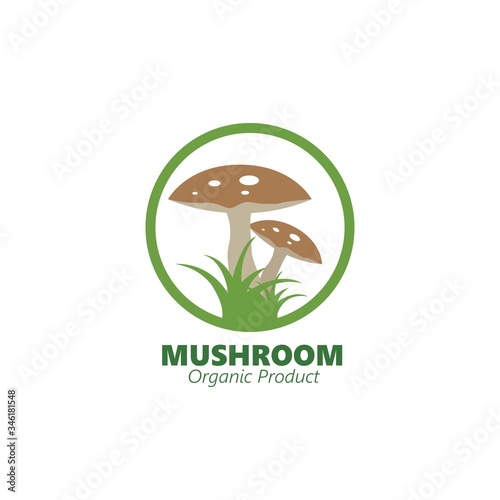 mushroom vector illustration icon design