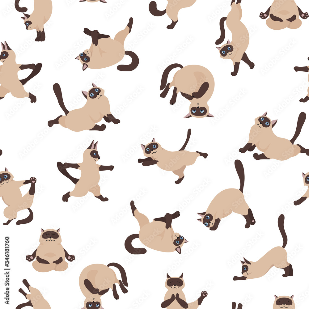 Cats yoga. Siamese cats seamless pattern. Different yoga poses and exercises
