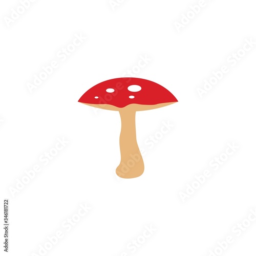 mushroom vector illustration icon design