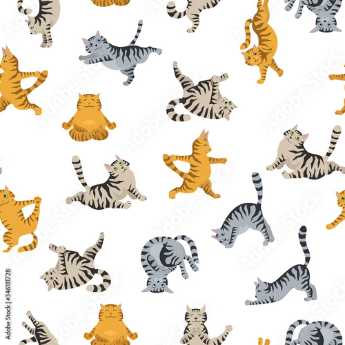 Cats yoga seamless pattern. Different yoga poses and exercises. Striped and tabby cat colors