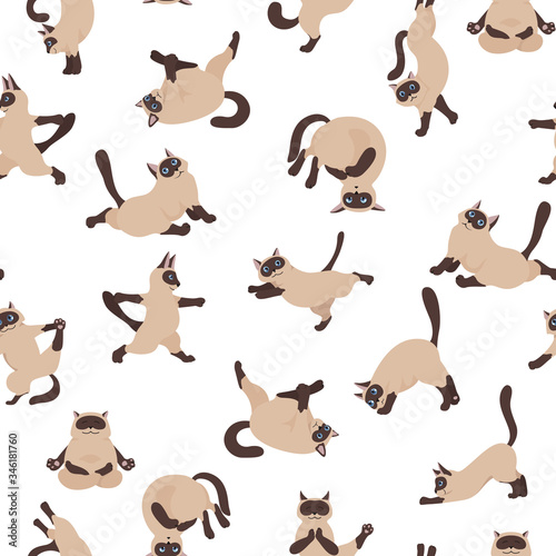 Cats yoga. Siamese cats seamless pattern. Different yoga poses and exercises