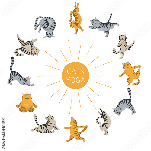 Cats yoga. Different yoga poses and exercises. Striped and tabby cat colors
