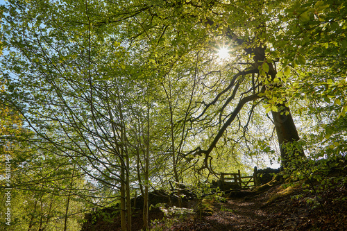 high peak pathway natural scene