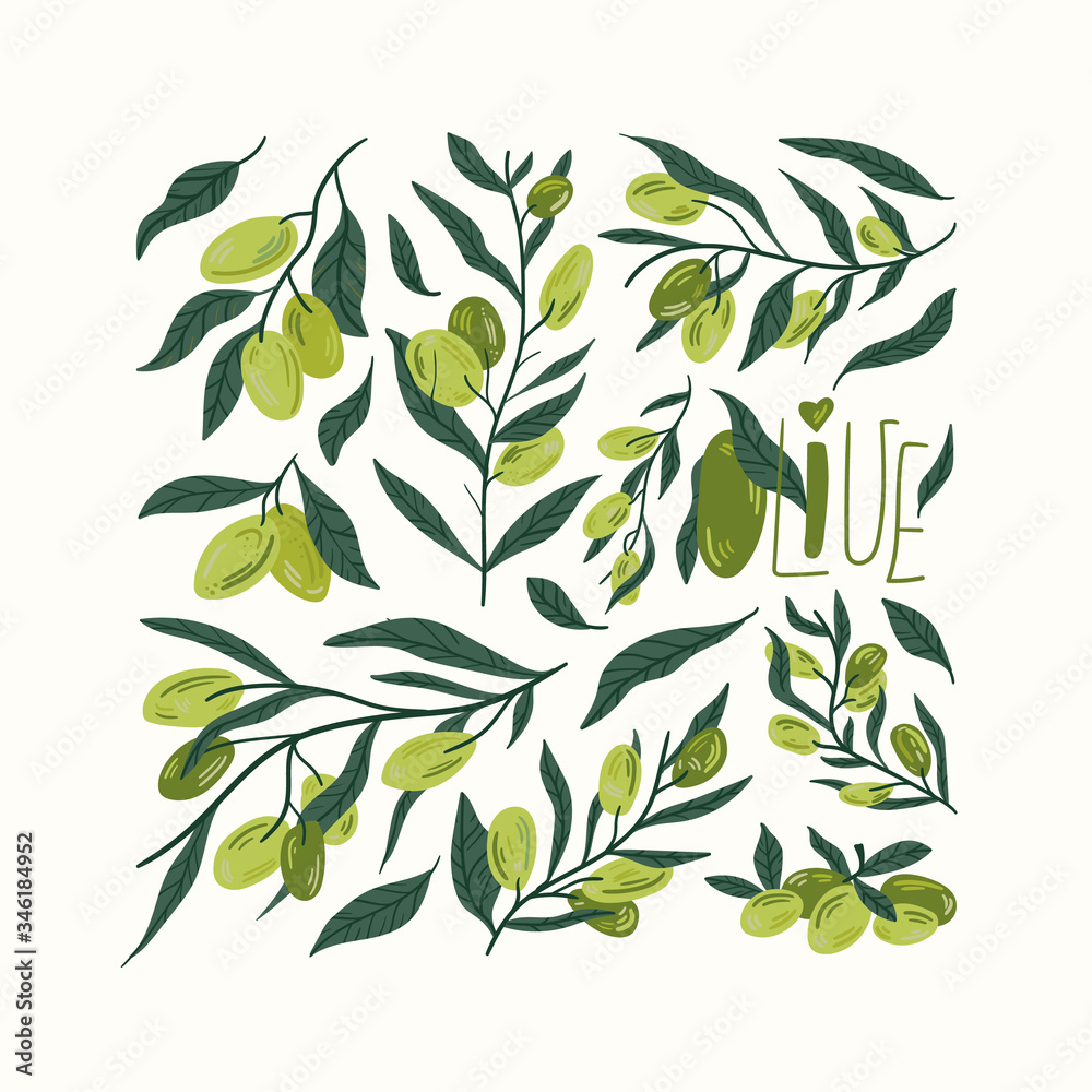 Green olives on a branch isolated on a white background. Hand draw cartoon Scandinavian nordic design style for fashion or interior or cover or textile or background. Green olives on a branch isolated on a white background. Hand draw cartoon Scandinavian nordic design style for fashion or interior or cover or textile or background.