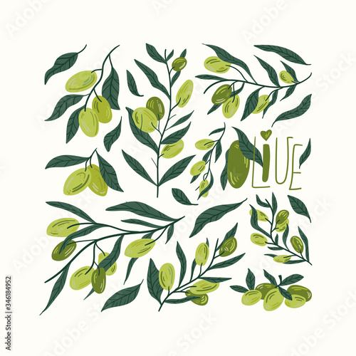 Green olives on a branch isolated on a white background. Hand draw cartoon Scandinavian nordic design style for fashion or interior or cover or textile or background.